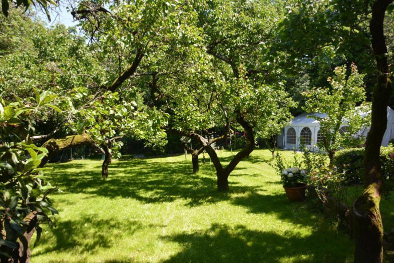 Anima Gea Experience Holiday home *